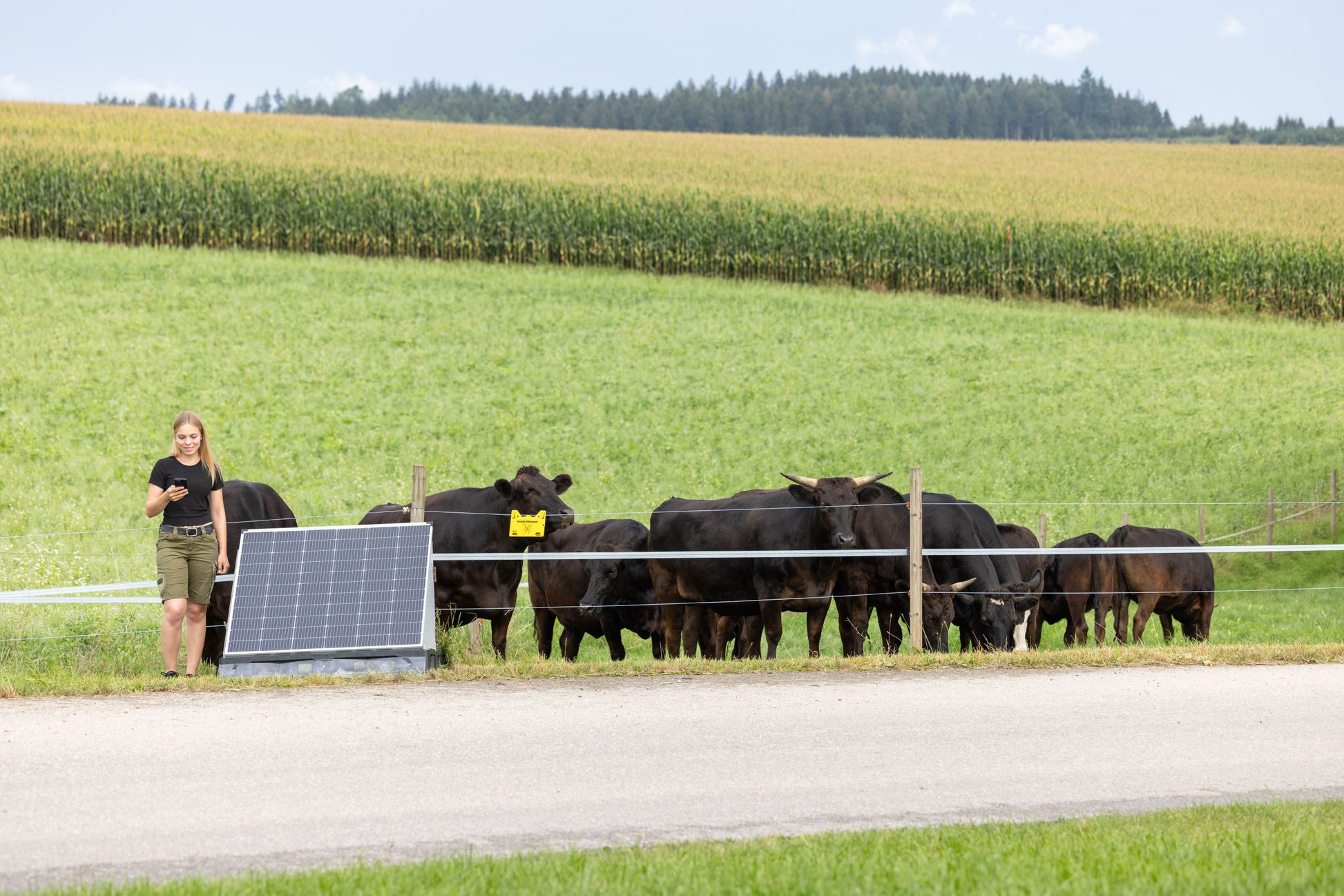 AKO SolarPowerStation smartXXL (20 J IN) pašni aparat