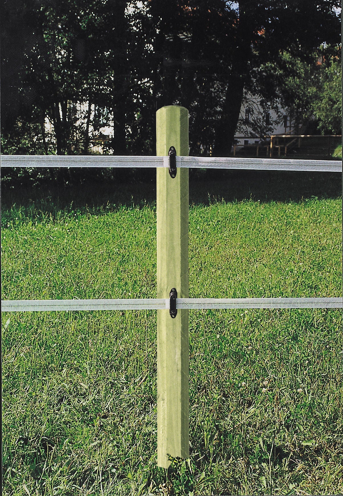 PALICA Octo Wood 225cm / 100mm