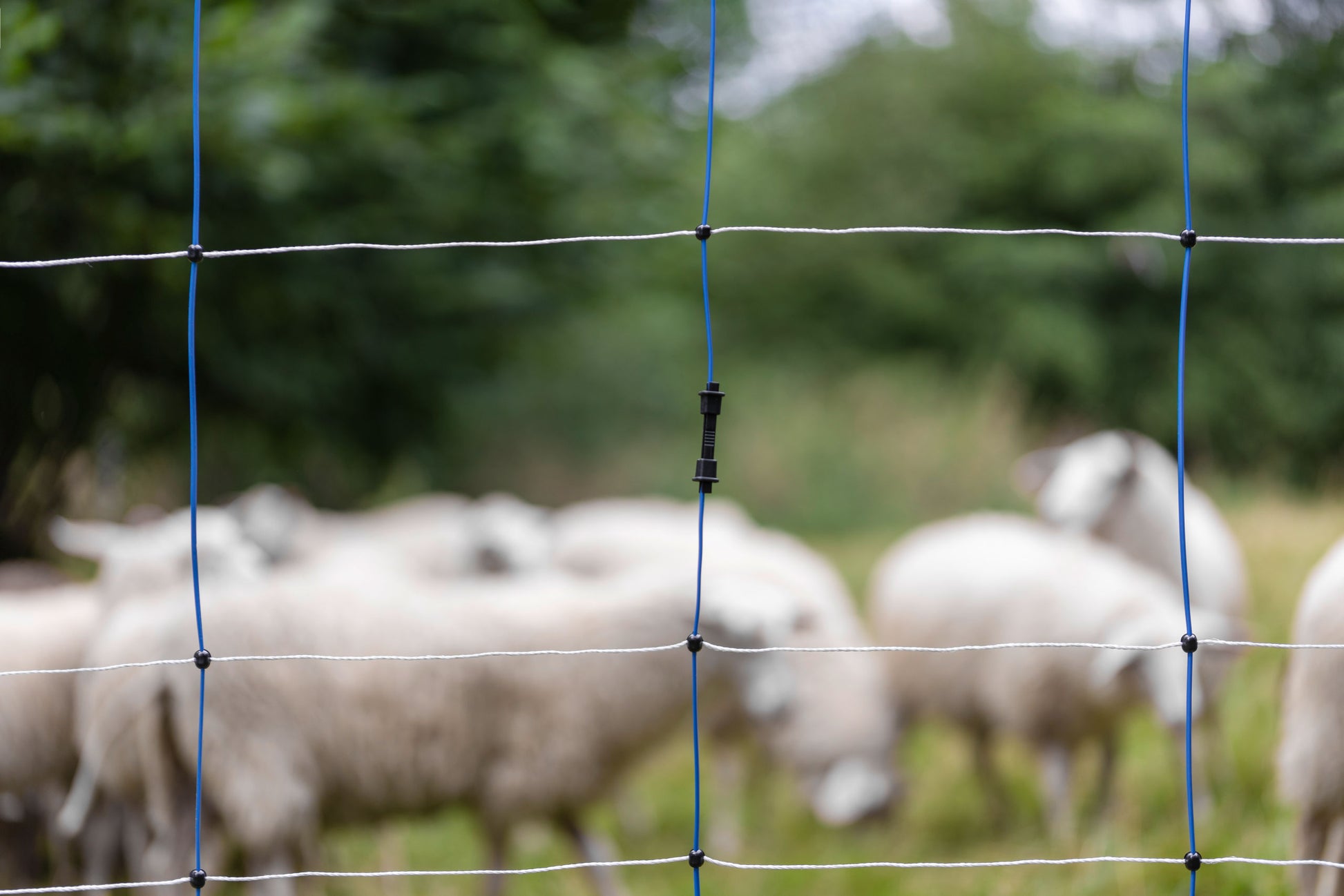 SPOJKA za navpicne opornike mreže - Litzclip (10kos)