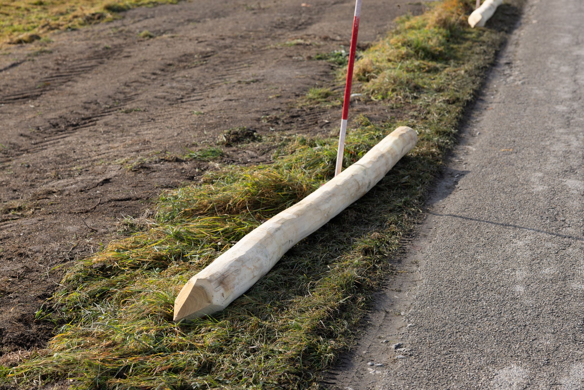 Robinijev kol 16/18 cm, 270 cm brez lubja, zaobljen, brušen,