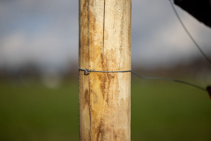 Skobast zebelj, 50St. 3,8 x 47mm, pocinkan