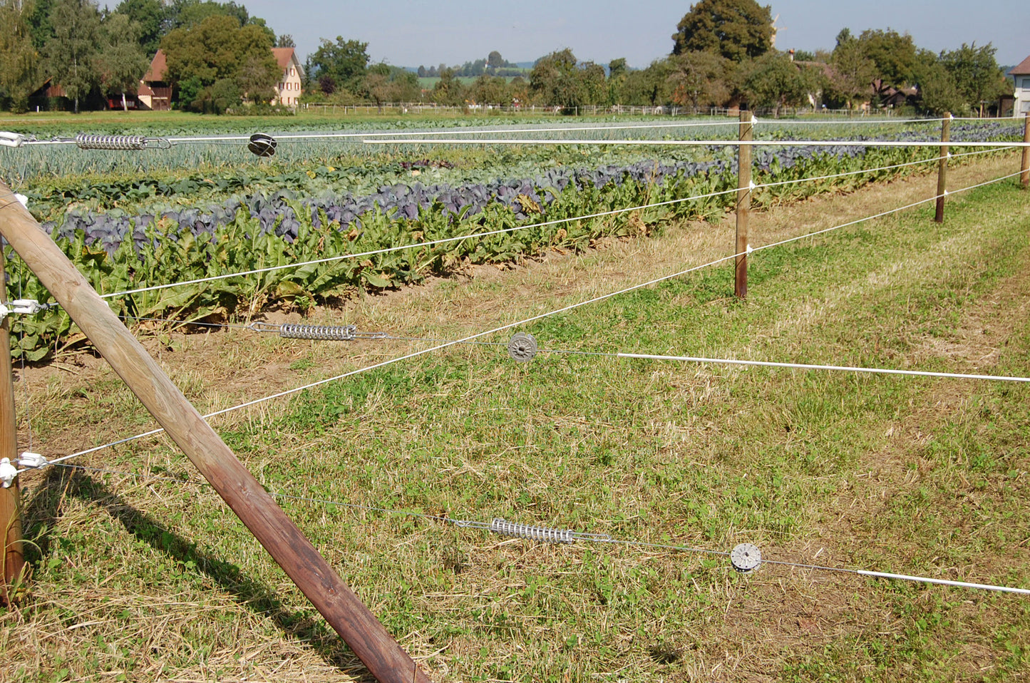 ŽICA Premium za konje - 8mm/250m (800kg)