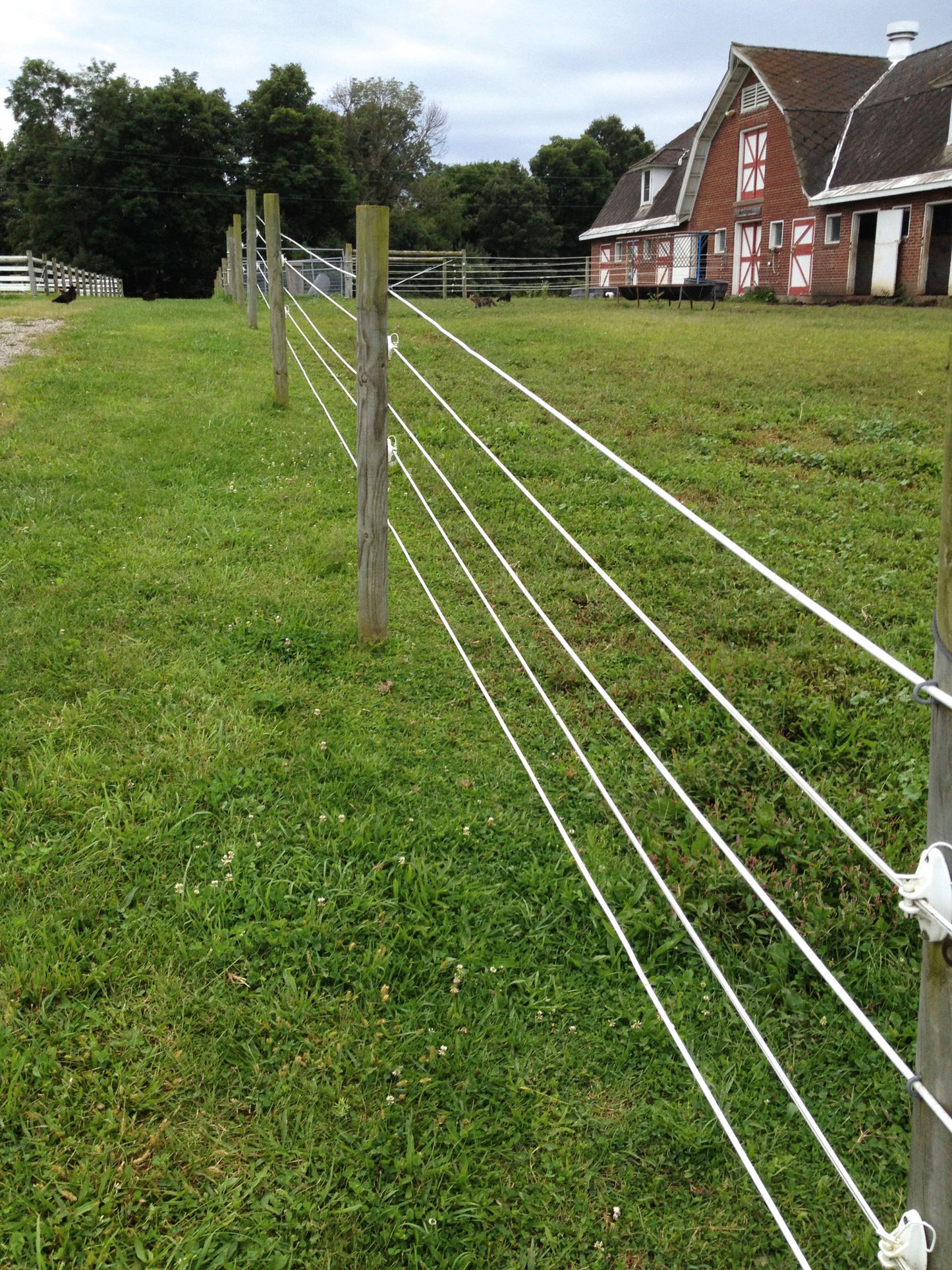 ŽICA Premium za konje - 8mm/250m (800kg)