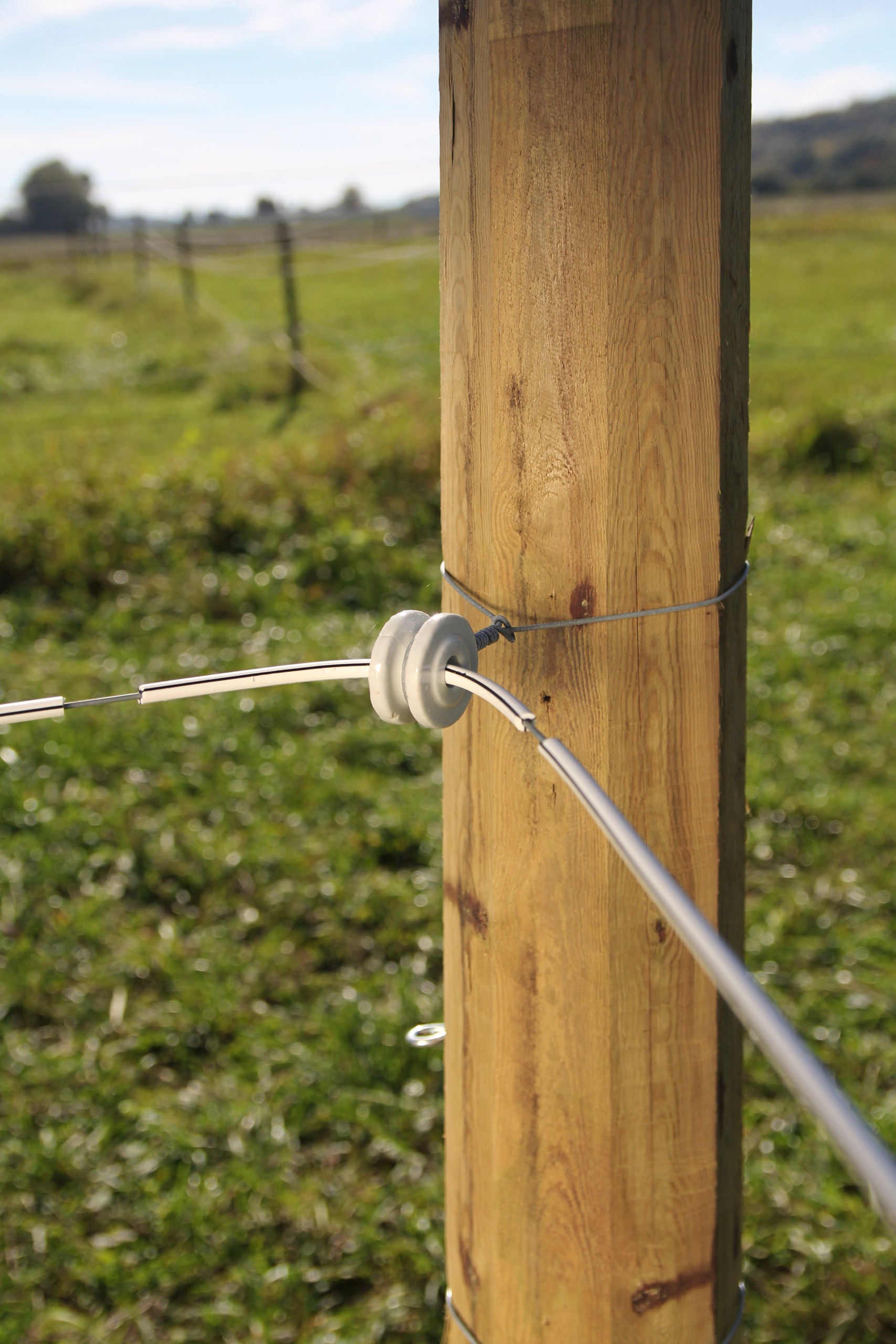 ŽICA Premium za konje - 8mm/250m (800kg)