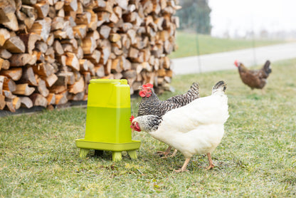 Napajalnik za perutnino 3,5 l pravokotna, plastična