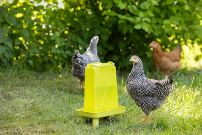 Napajalnik za perutnino 5,5 l pravokotna, plastična