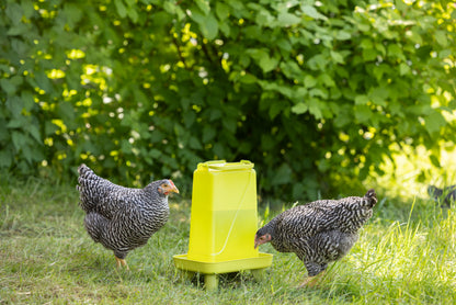 Napajalnik za perutnino 5,5 l pravokotna, plastična