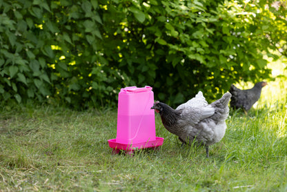 Napajalnik za perutnino 5,5 l pravokotna, plastična