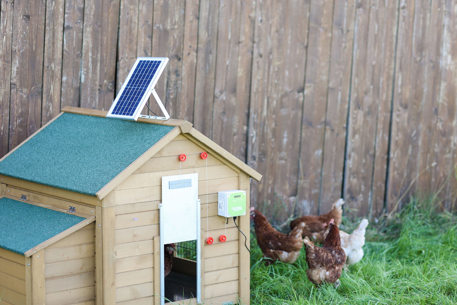 SOLARNI set za avtomatska vrata za perutnino