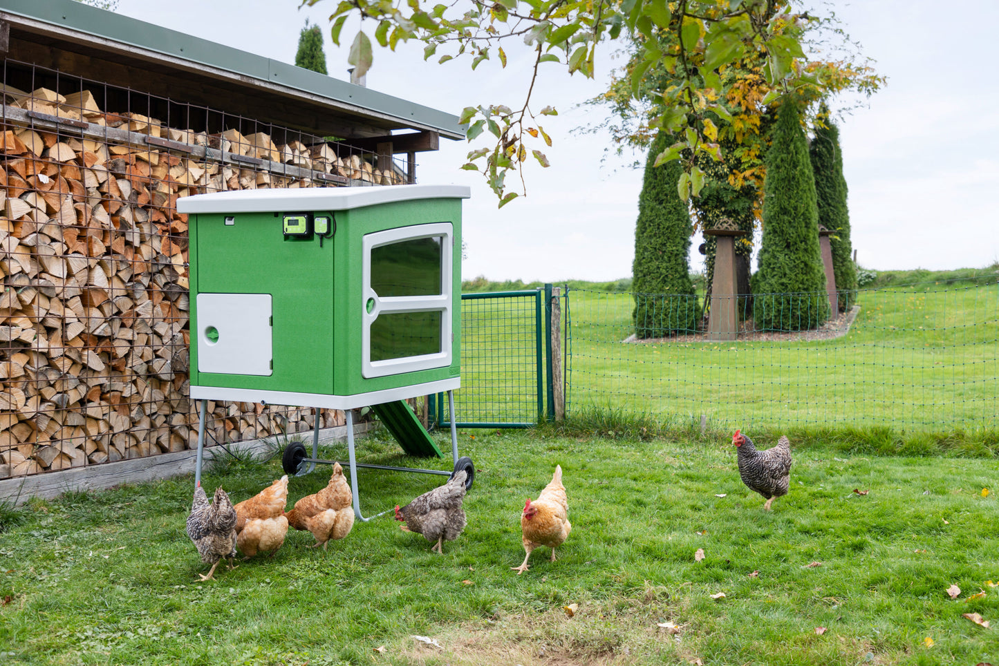 SmartCoop krmilje