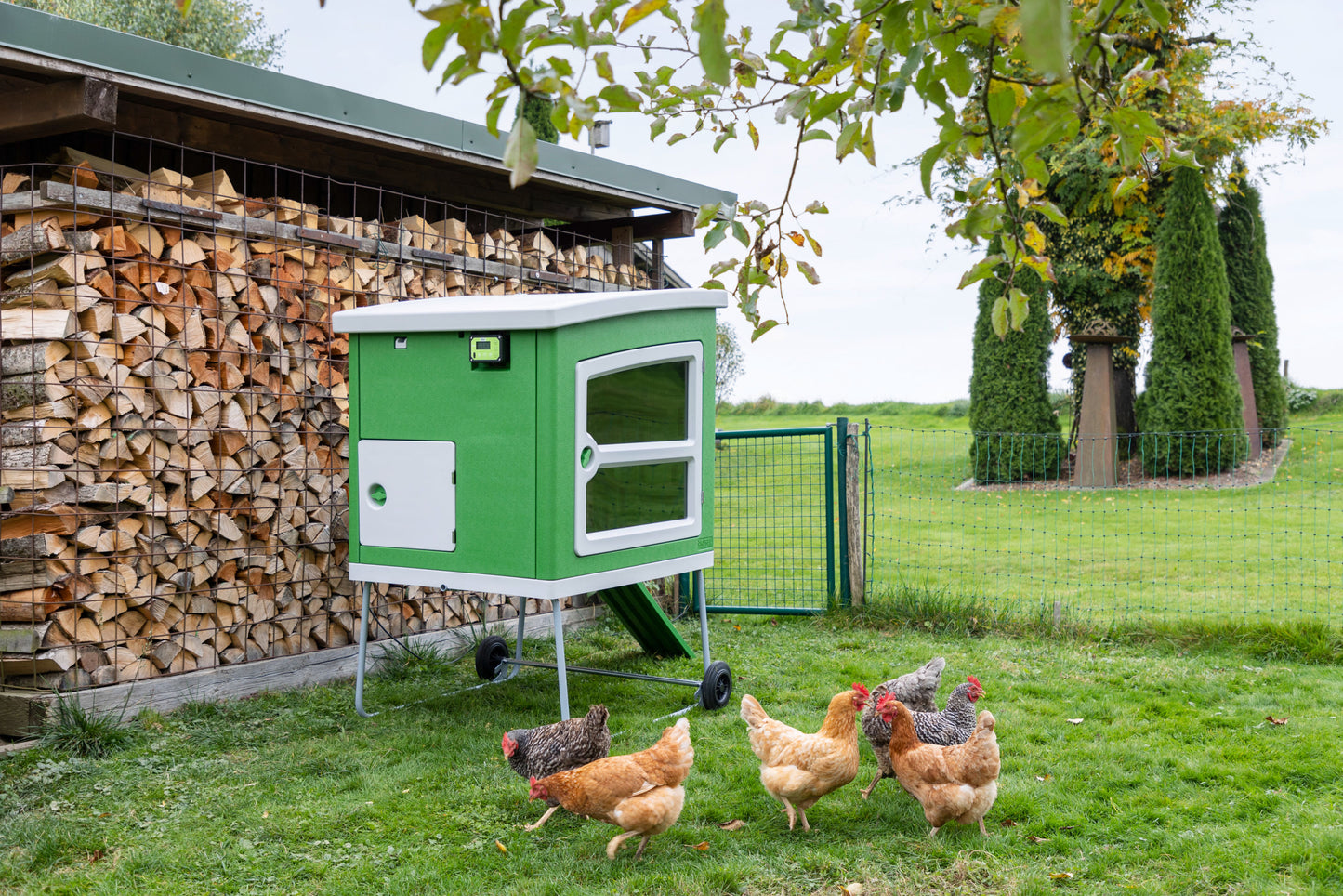 SmartCoop krmilje