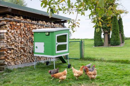 SmartCoop krmilje