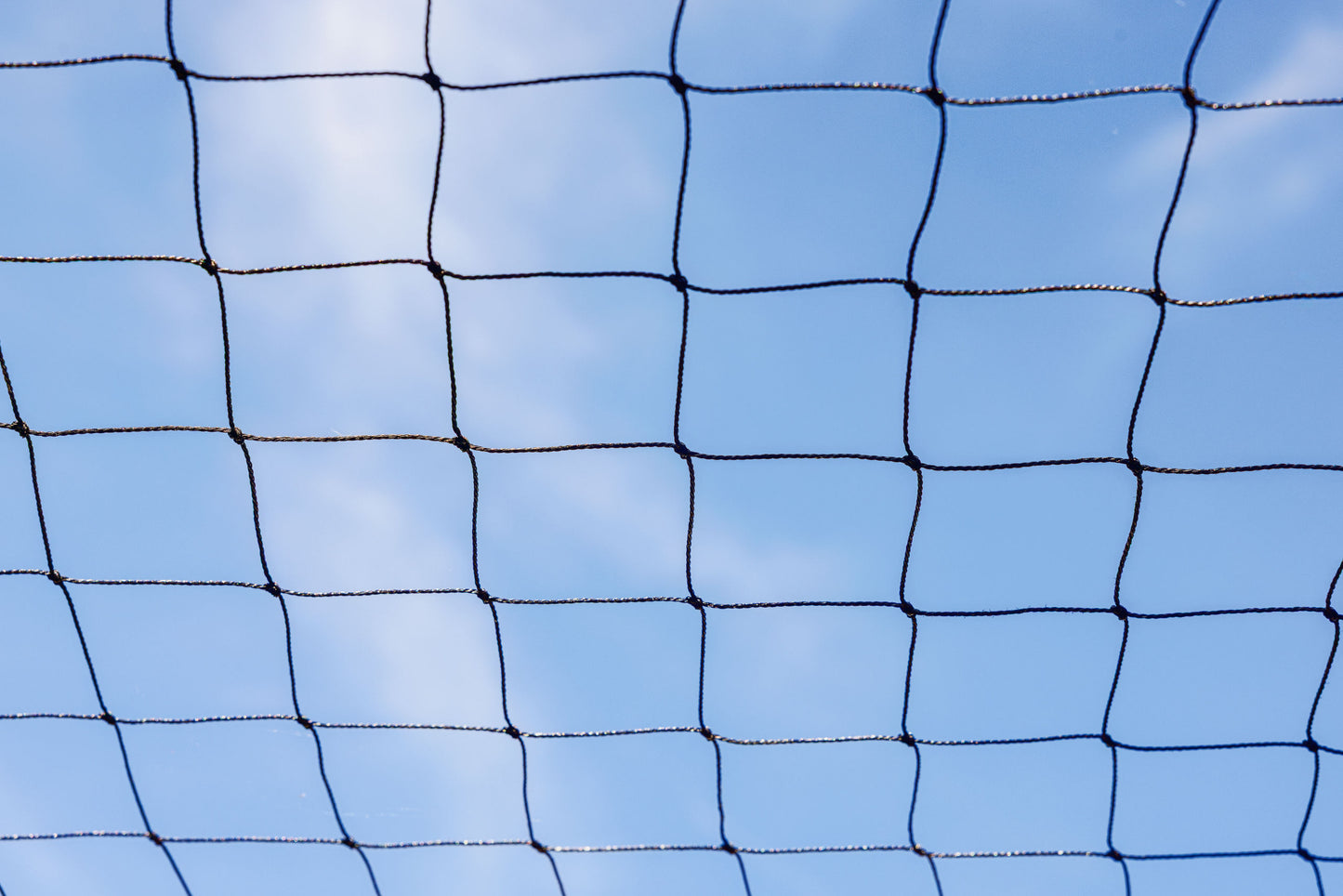Mreža za zašcito perutnine 5 x 10 m Velikost mrežnega ocesa