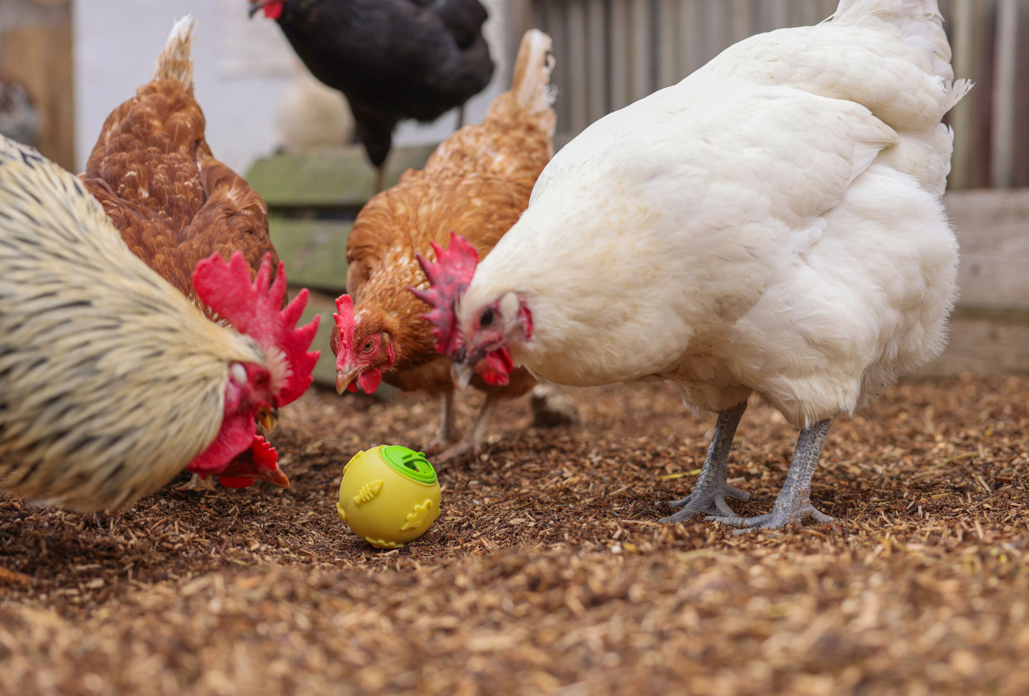 Žoga za prigrizek za pišcance ø 7,5 cm, rumena