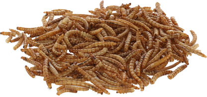Sušeni mokarji 900 g