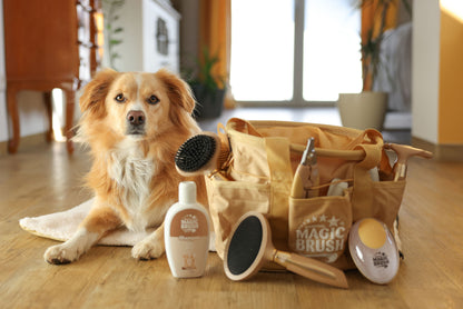 Magic Brush DOG golden