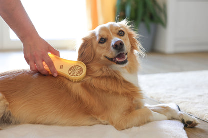 Magic Brush DOG golden