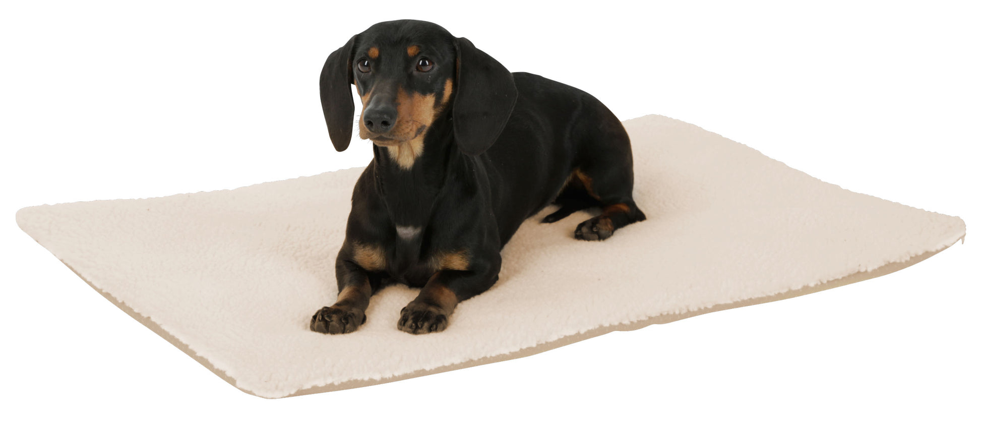 BLAZINA Theo -  75 × 50cm