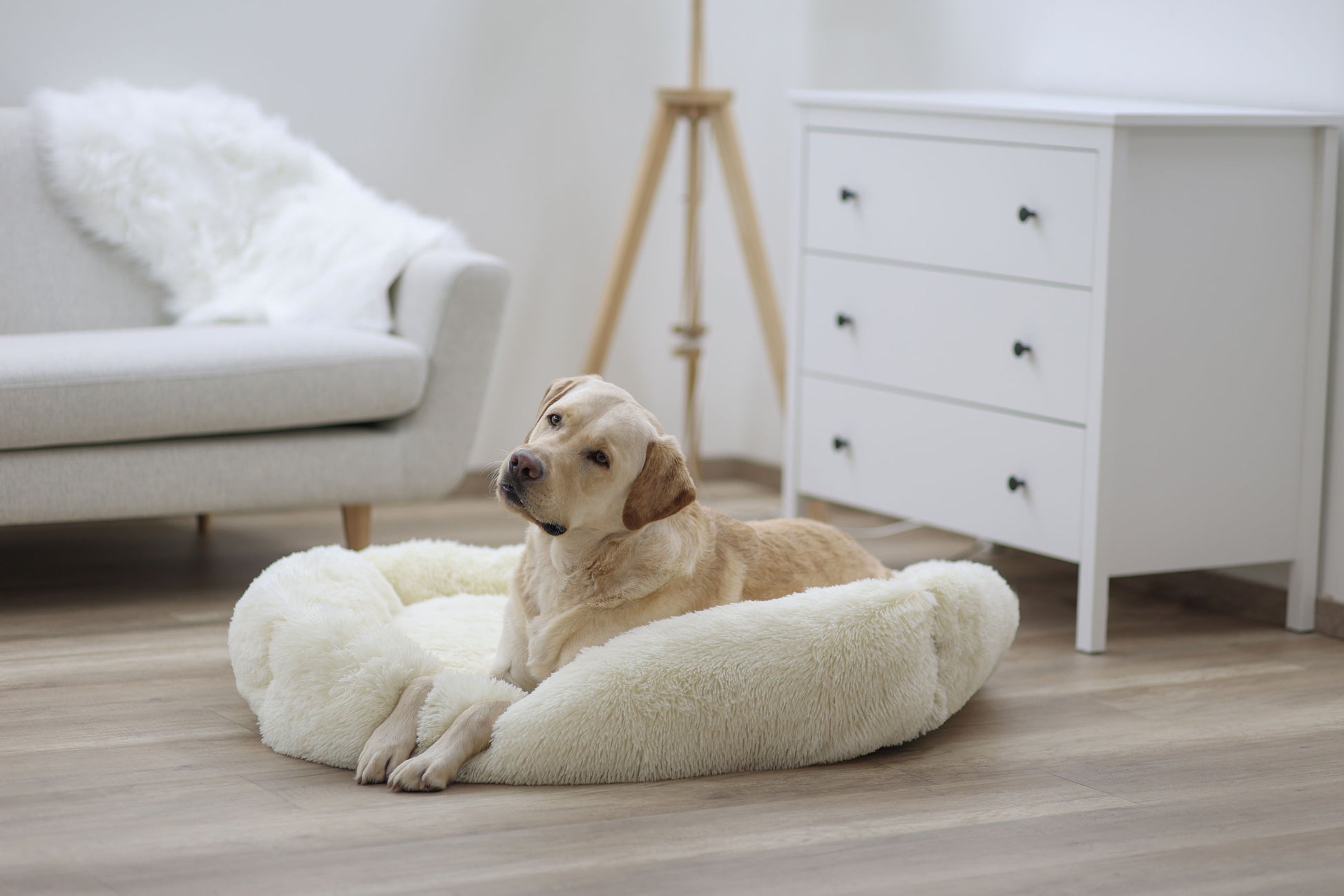 Postelja Cuddle Bed Fluffy, kremasta, 100x70cm