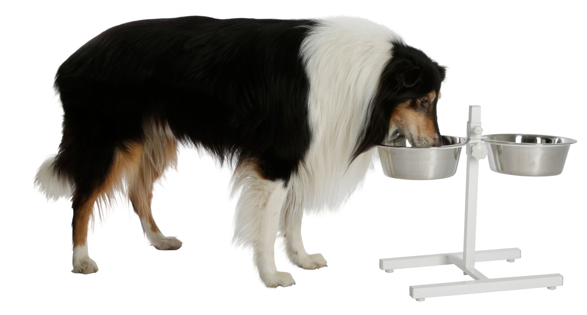 NOSILEC dvojni 43cm z 2× posoda inox 2800ml - bel