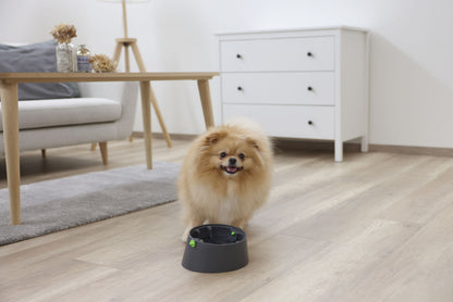Multifeeder 3v1, žoga za prigr pladenj, krožnik za lizanje