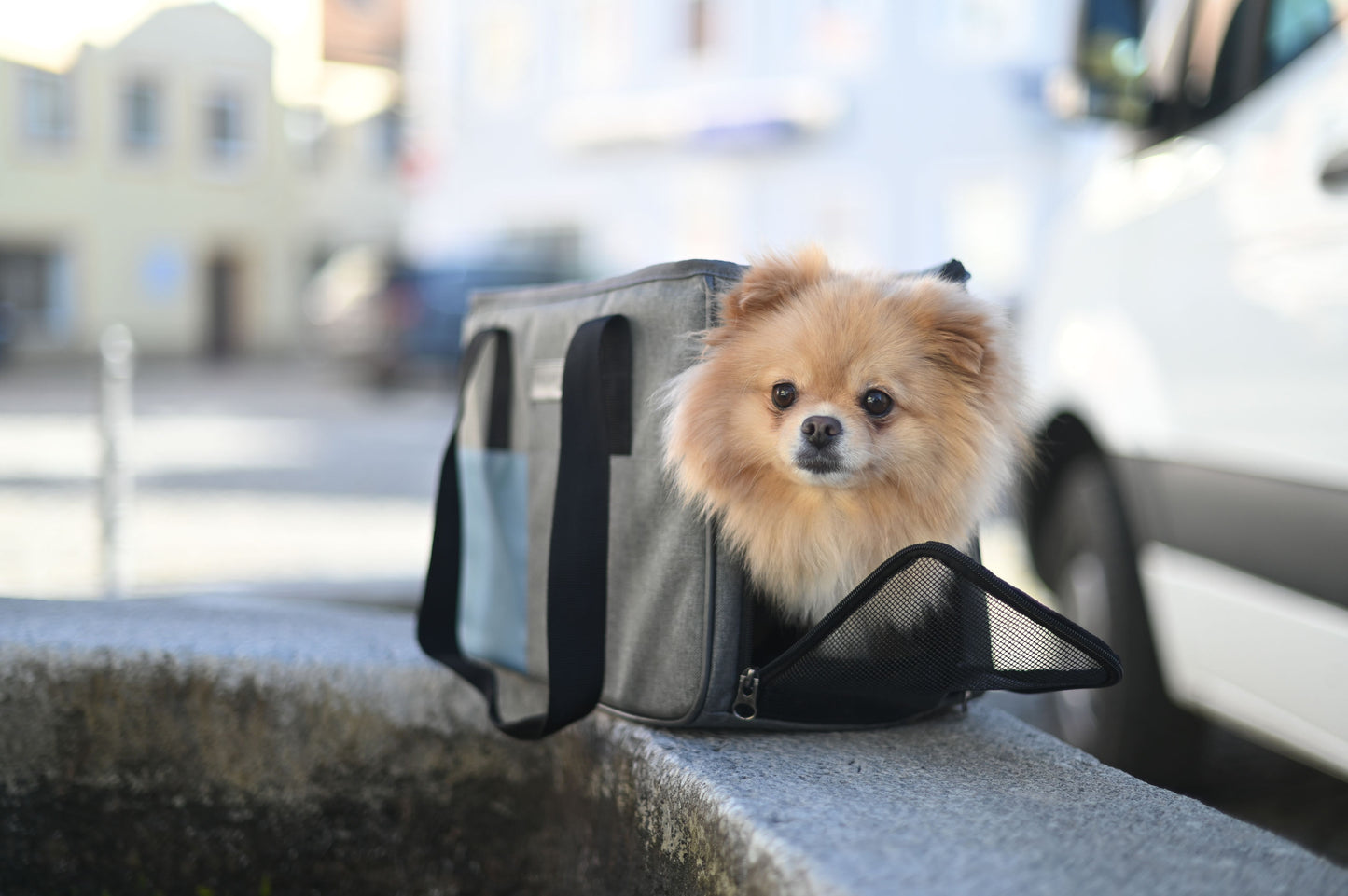 Prtljažna torba Vacation 40x20 x27cm siva/modra