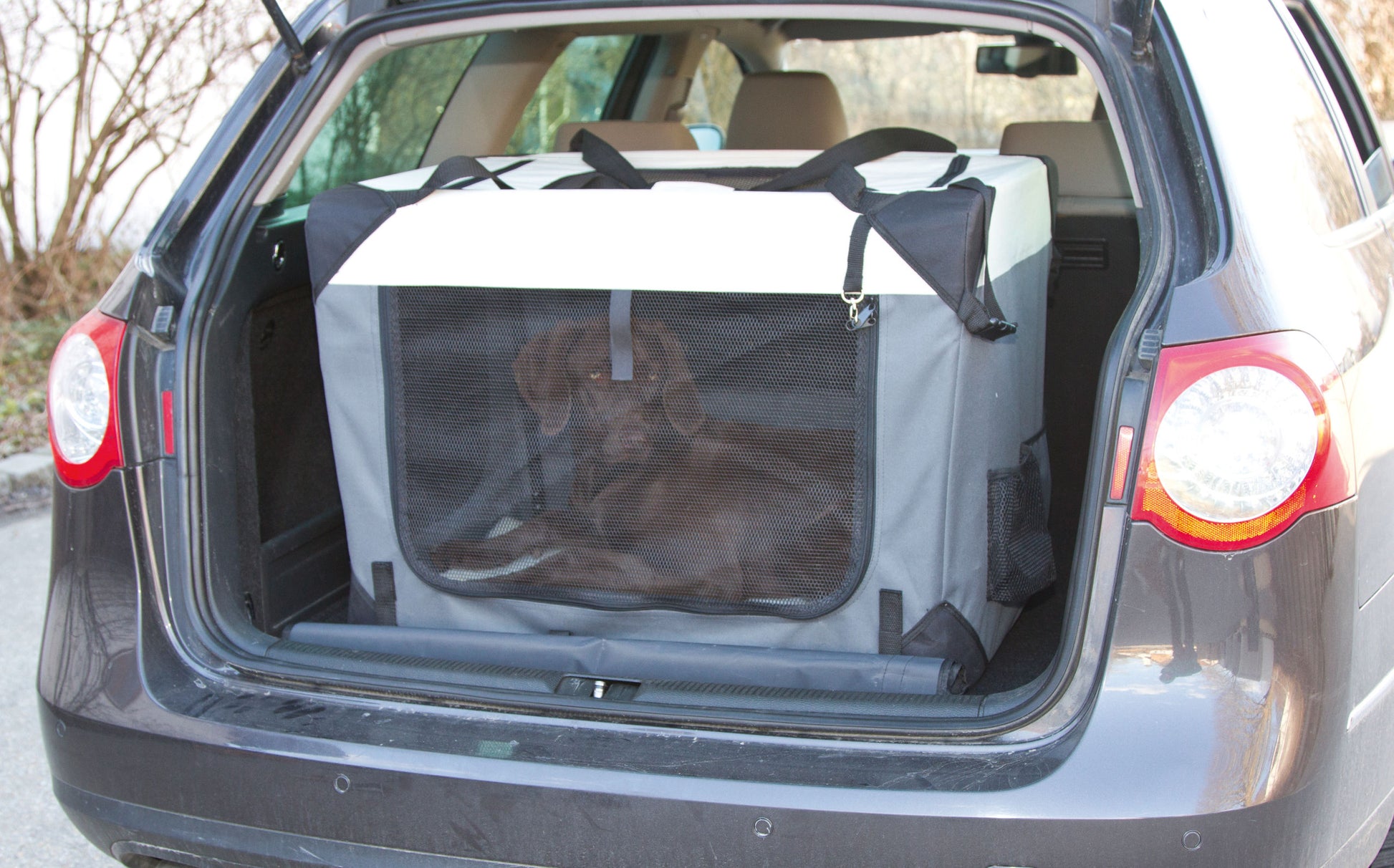TRANSPORTNI box Journey siva/bež - 81x58x58cm