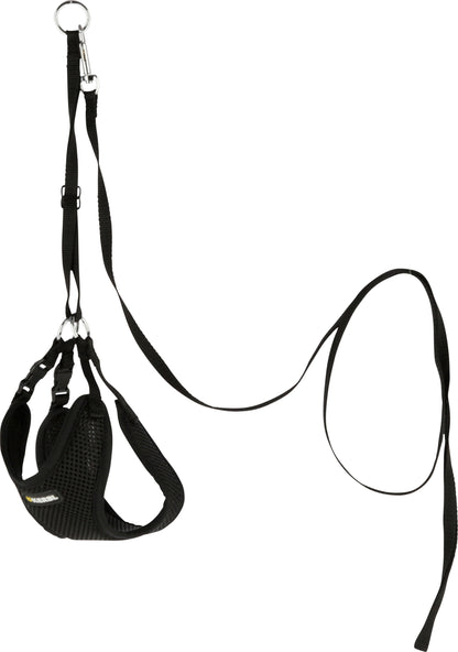 Oprsnica za kužka s povodcem, crna, 24 - 44 cm/10 mm