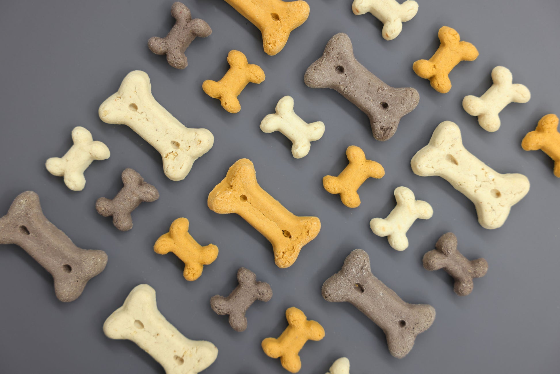 PRIBOLJŠKI Pet Rewards Biscuits Puppy Mix (400g)