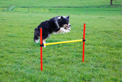 AGILITY spretnostni komplet za psa - rumen/rdec