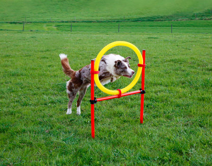 AGILITY spretnostni komplet za psa - rumen/rdec