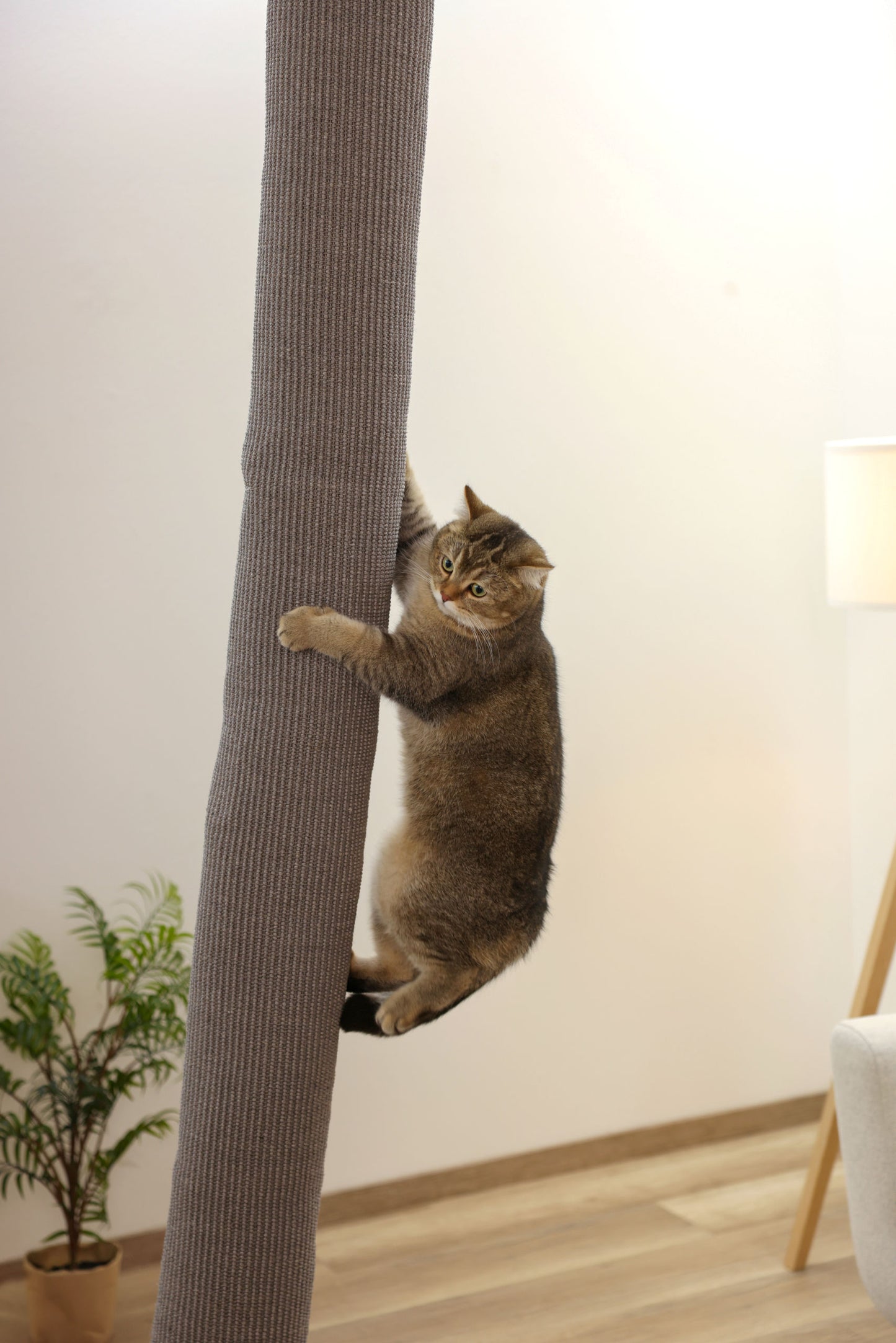 Plezalna vreča Climber za mačke, siva, 16x16x240 cm