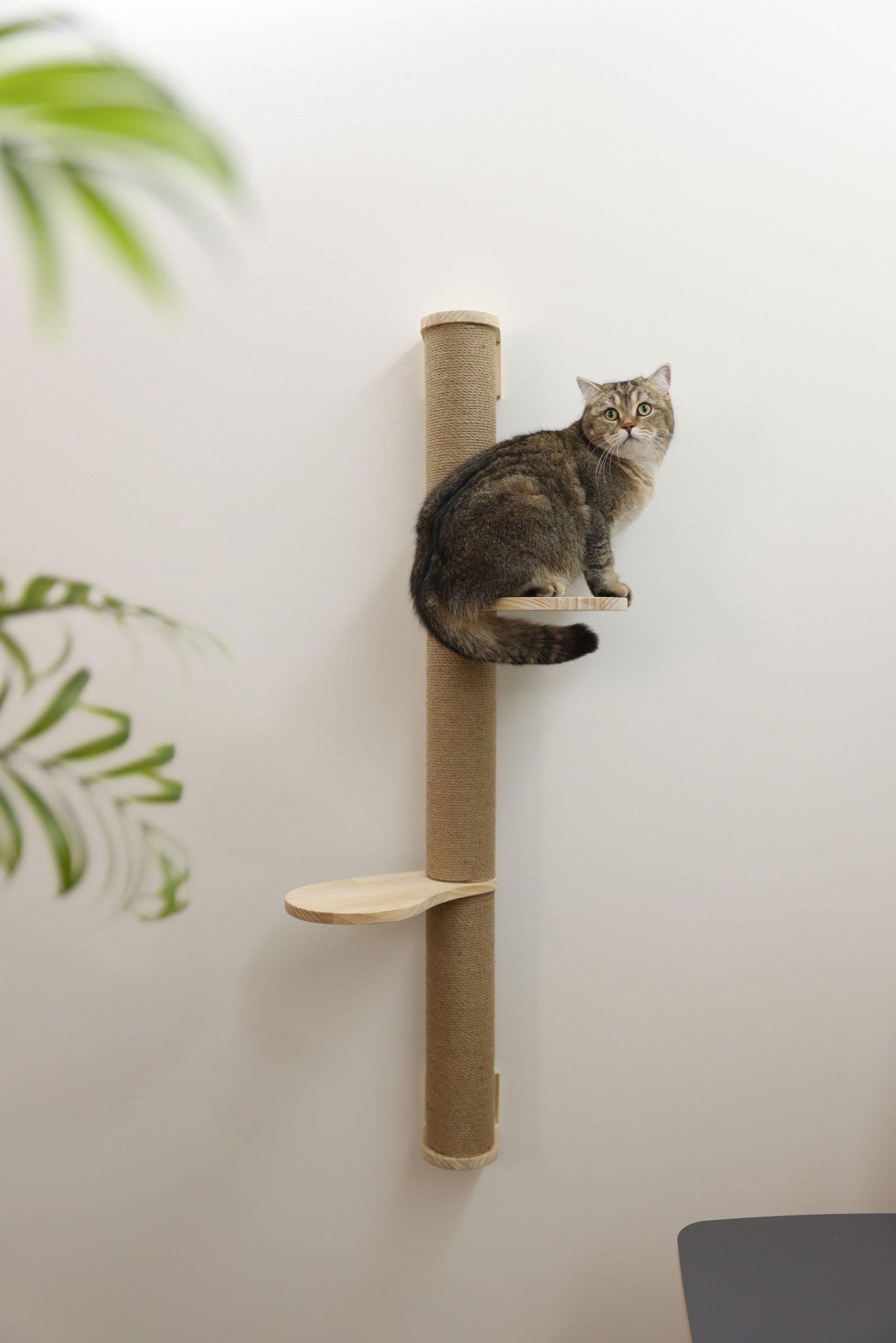 Lesen praskalnik, z juto D: 127 cm