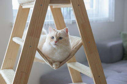 Praskalnik Ladder, 97x39,5x134cm, bež