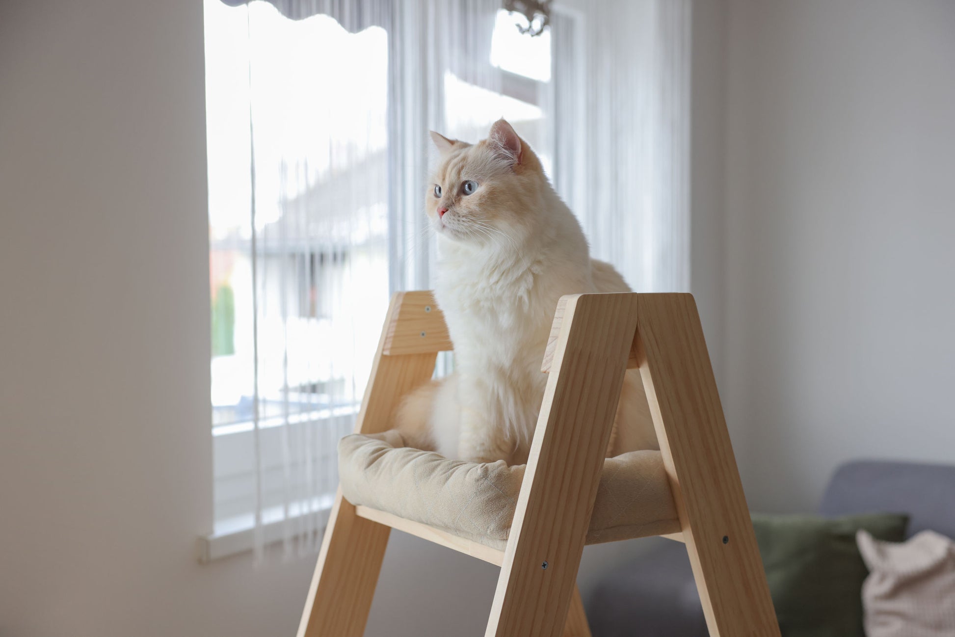 Praskalnik Ladder, 97x39,5x134cm, bež