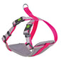 OPRSNICA za male pse <23cm, <38mm - pink