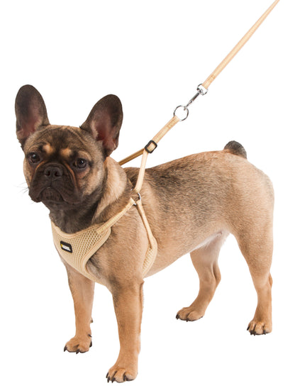 OPRSNICA Puppy 24-44cm/10mm s povodcem