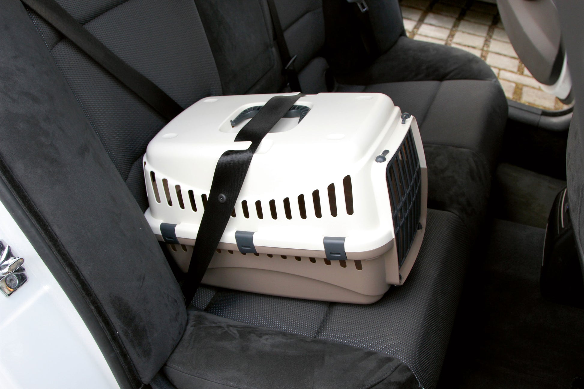 TRANSPORTNI box Expedion 45×30×30cm zelena/siva