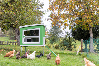 Mobile Coop - umetna masa 119X96x162 cm, 2 kartona