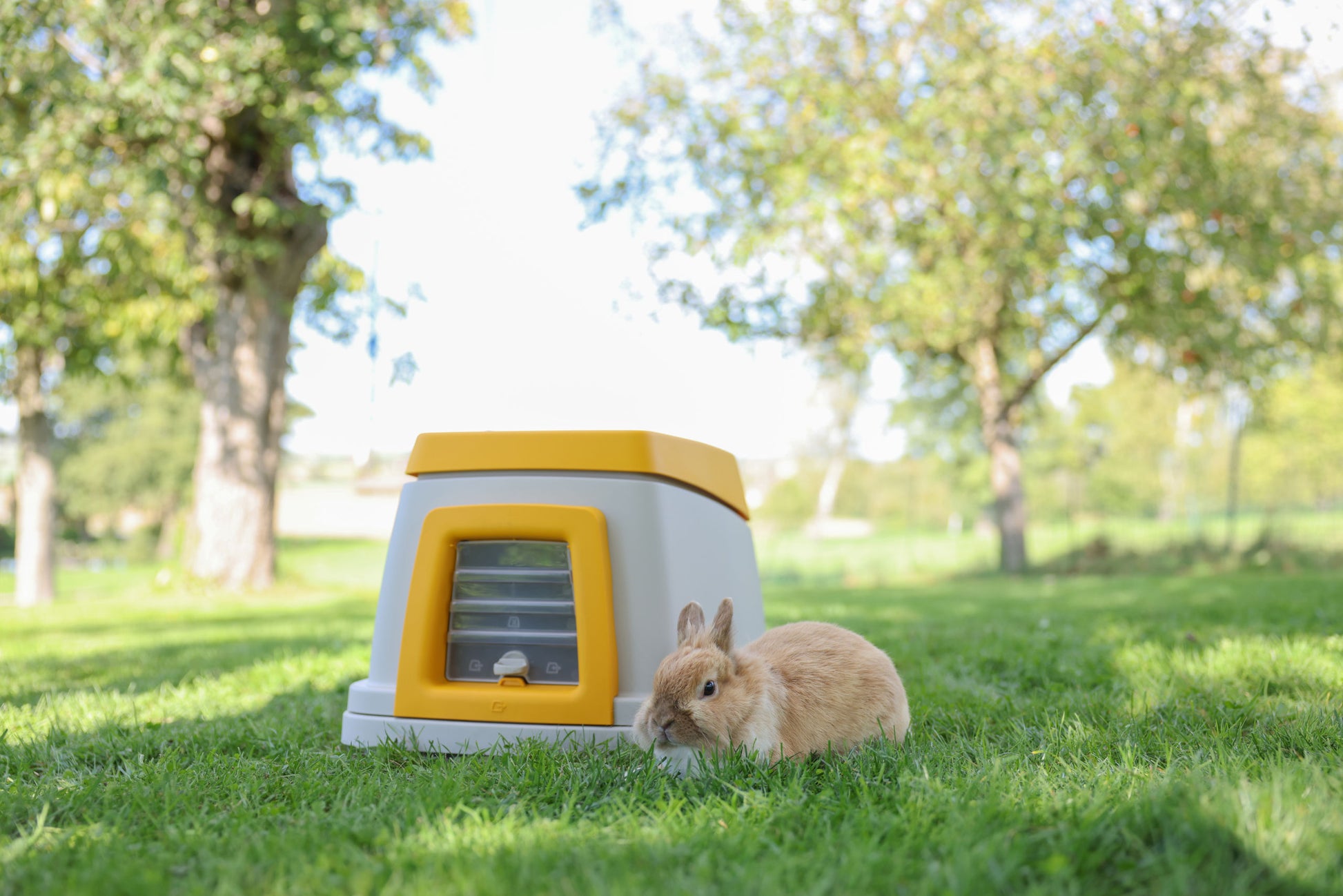Zajcji brlog Bunny Base celoten komplet