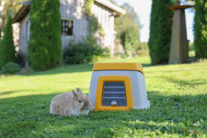 Zajcji brlog Bunny Base celoten komplet