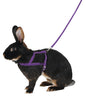 OPRSNICA Agility 34-50cm s povodcem 2m