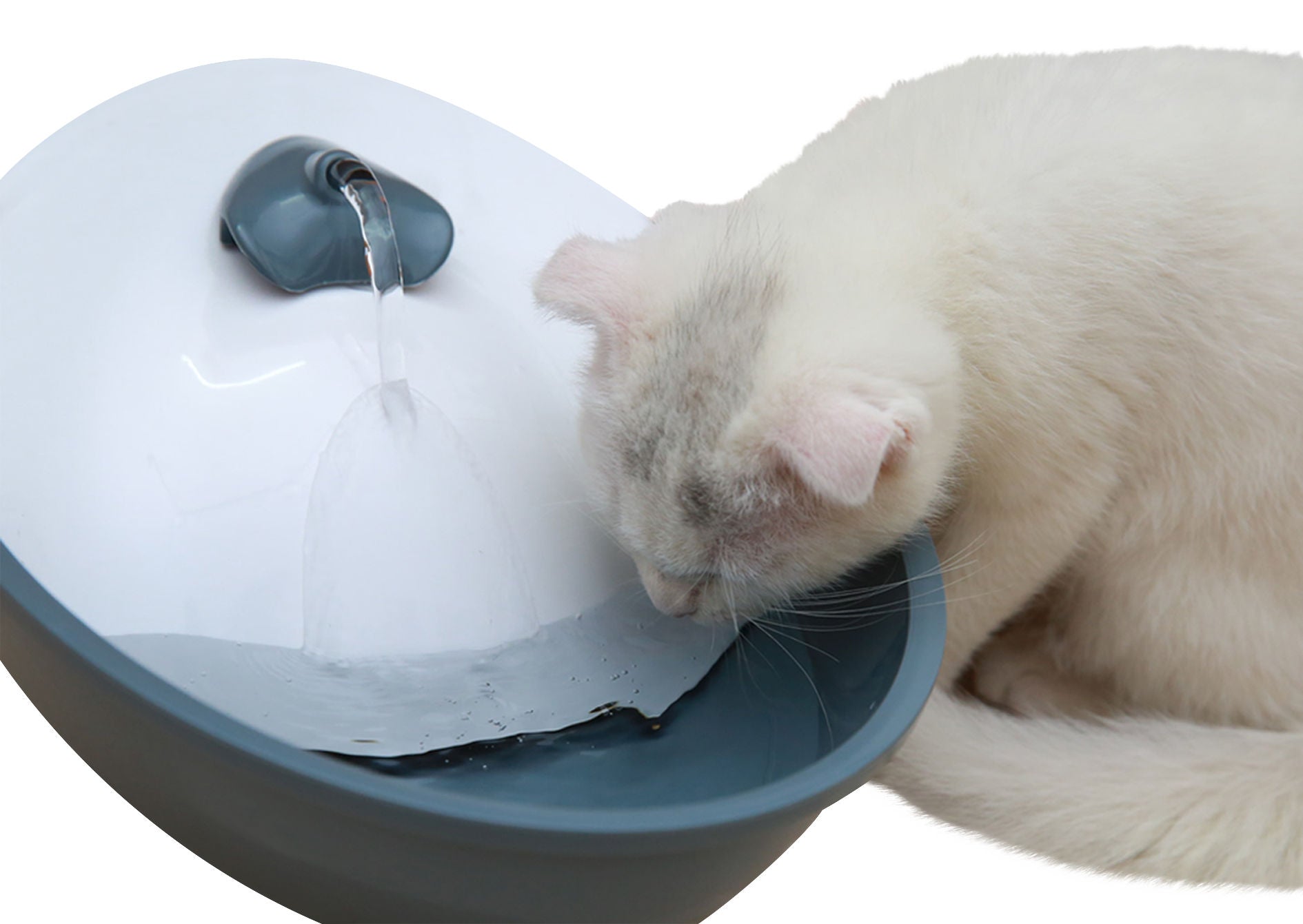 EYENIMAL Classic Pet Fountain pitnik 1,75l