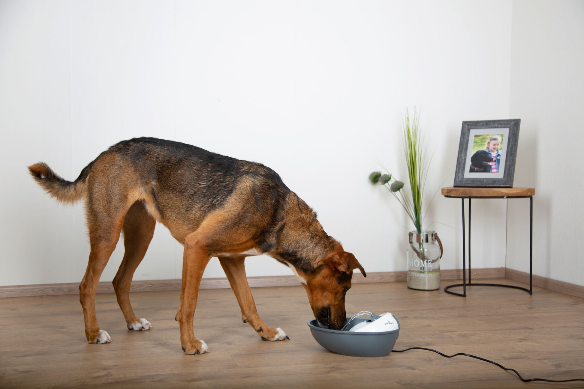 EYENIMAL Classic Pet Fountain pitnik 1,75l