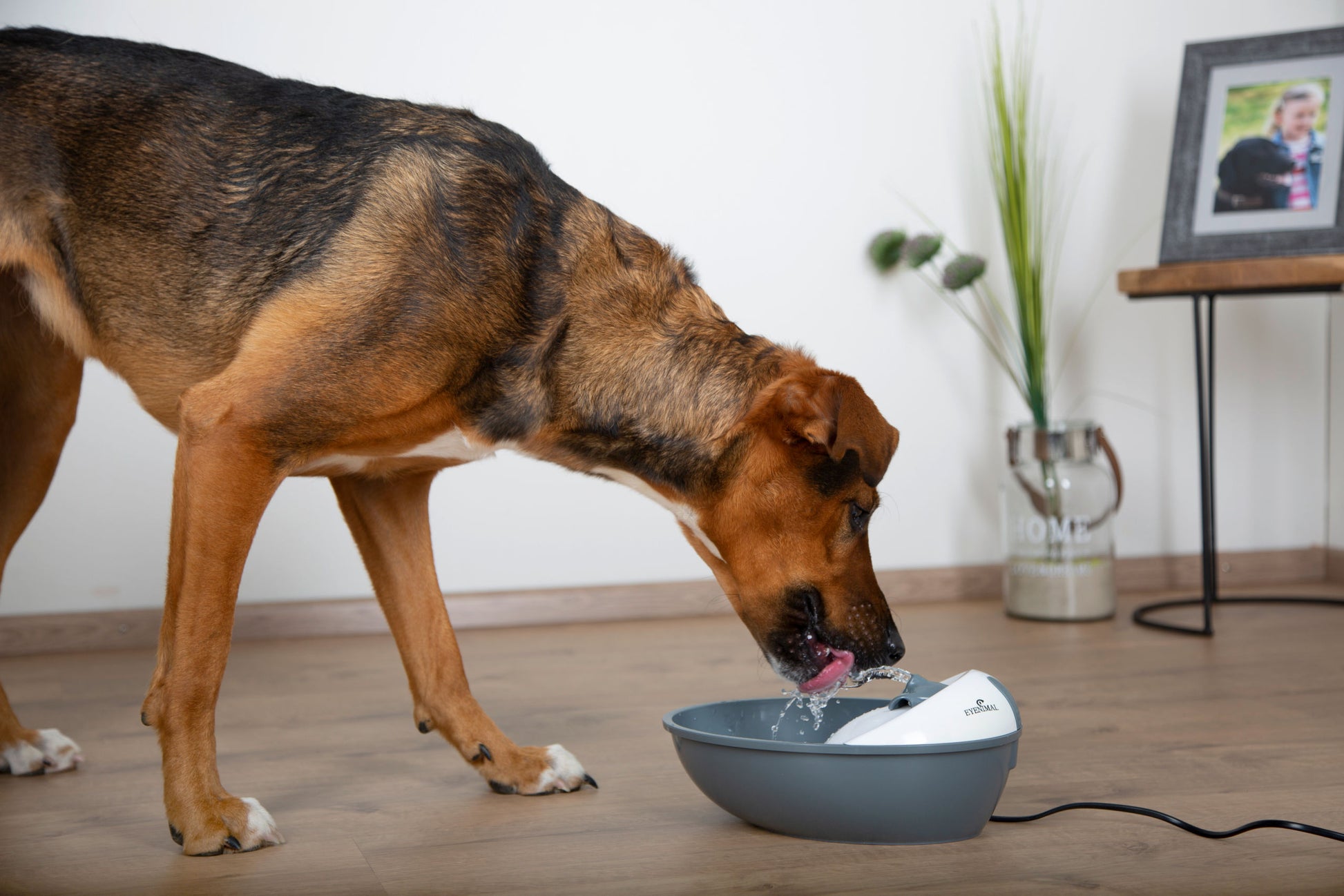 EYENIMAL Classic Pet Fountain pitnik 1,75l