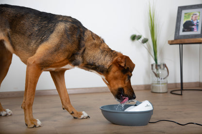 EYENIMAL Classic Pet Fountain pitnik 1,75l