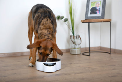 EYENIMAL,1,8l Intelligent Pet posoda XL, s tehtnico, bela