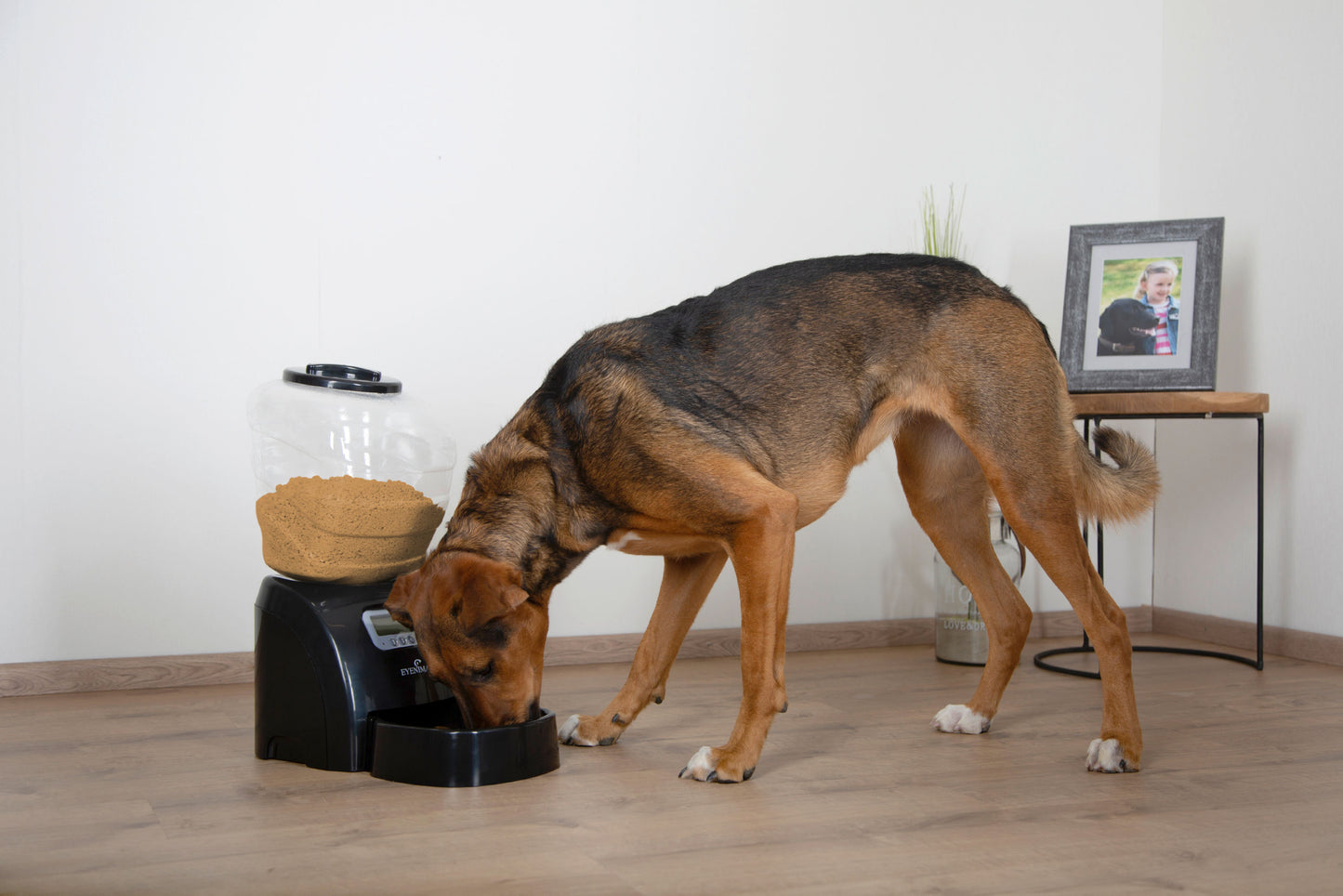 EYENIMAL Electronic Pet Feed avtomat za suho hrano 5kg