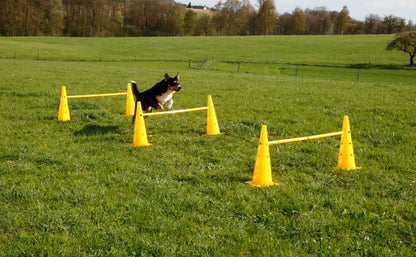 AGILITY ovire s stožci - rumen