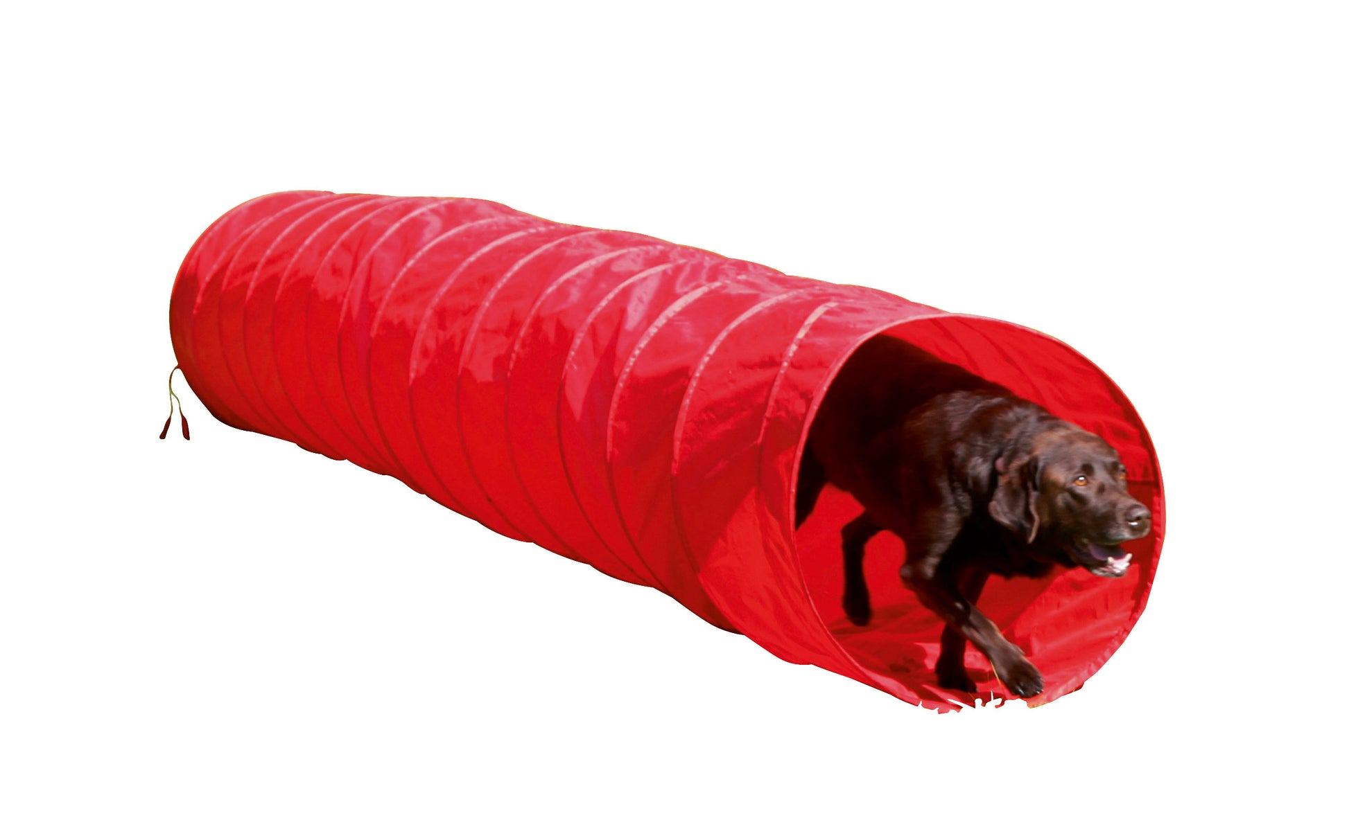 AGILITY tunel za psa - 5mx60 cm